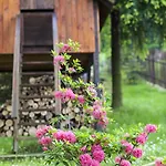 Wzgórze Magnolii