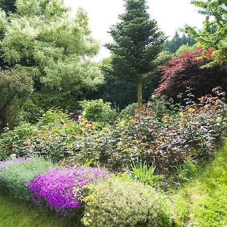 Wzgórze Magnolii Długopole-Zdrój
