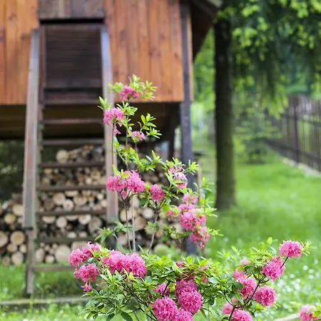 Wzgorze Magnolii