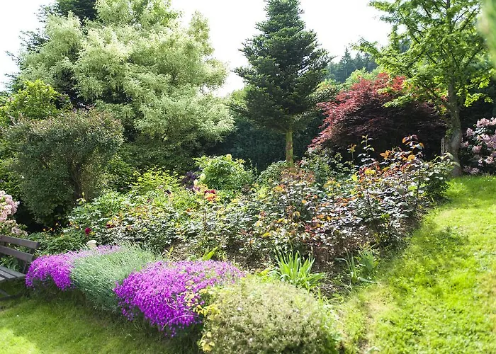 Wzgorze Magnolii Długopole-Zdrój