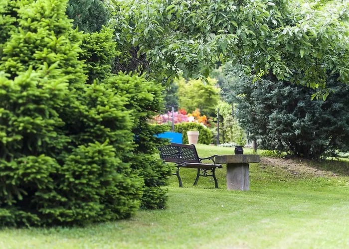 Wzgorze Magnolii Длугополе-Здруй