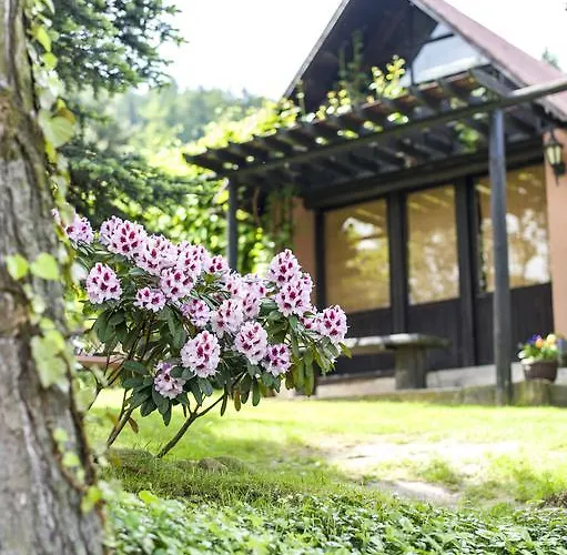 Фермерский дом Wzgorze Magnolii