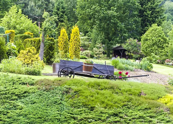 Wzgorze Magnolii Długopole-Zdrój