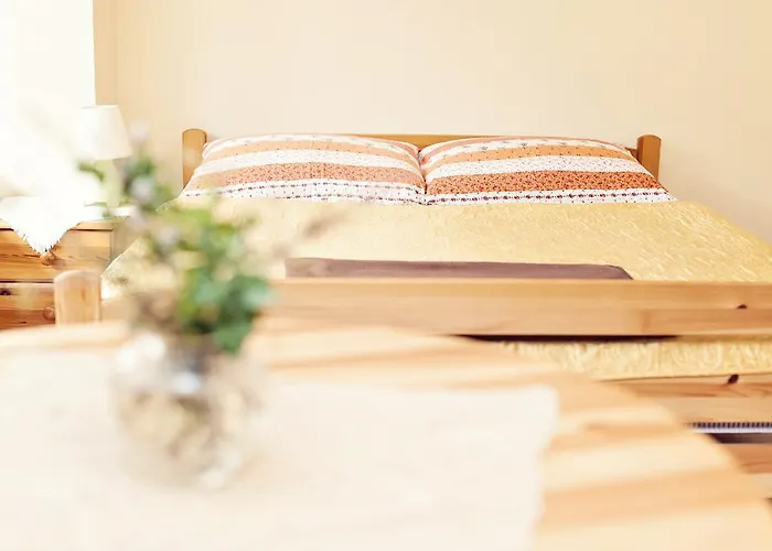 Wzgorze Magnolii Długopole-Zdrój